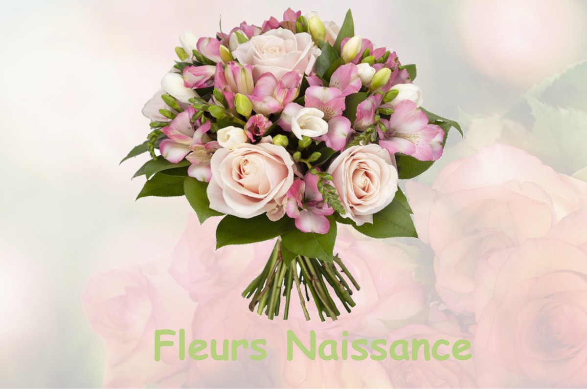 fleurs naissance ROTHONAY