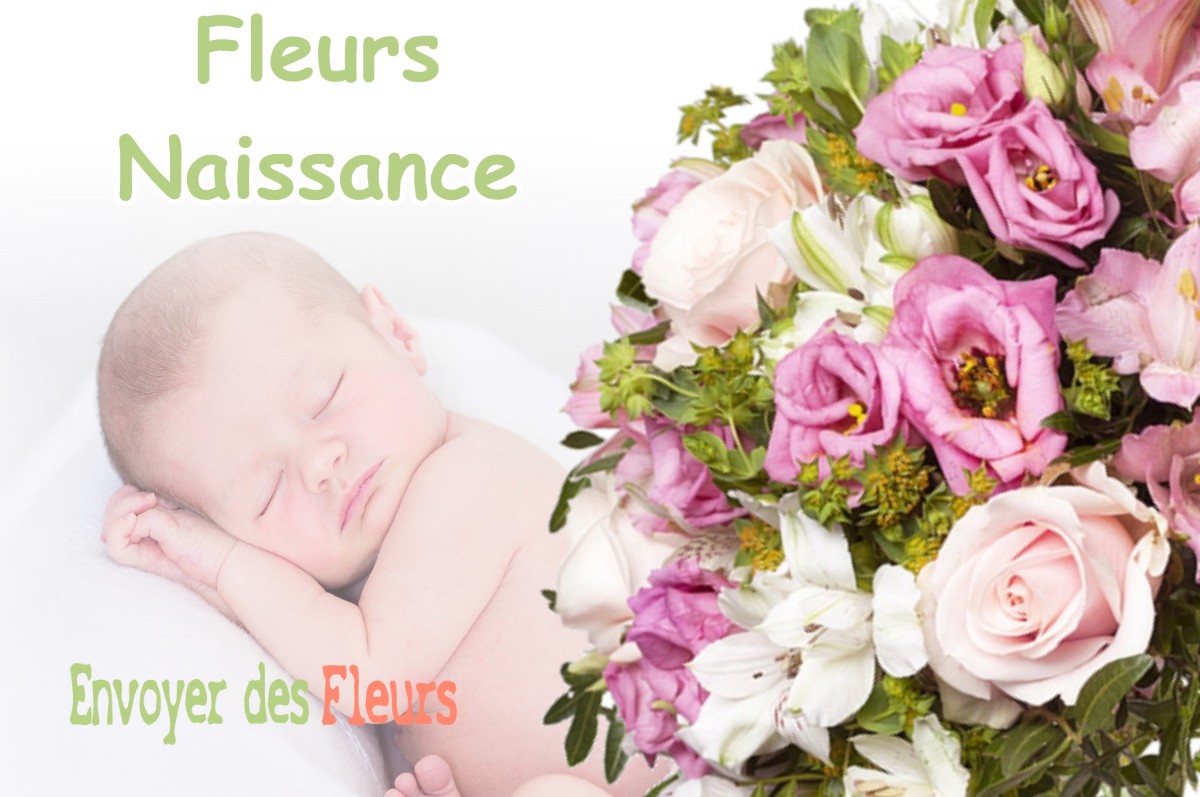 lIVRAISON FLEURS NAISSANCE à ROTHONAY